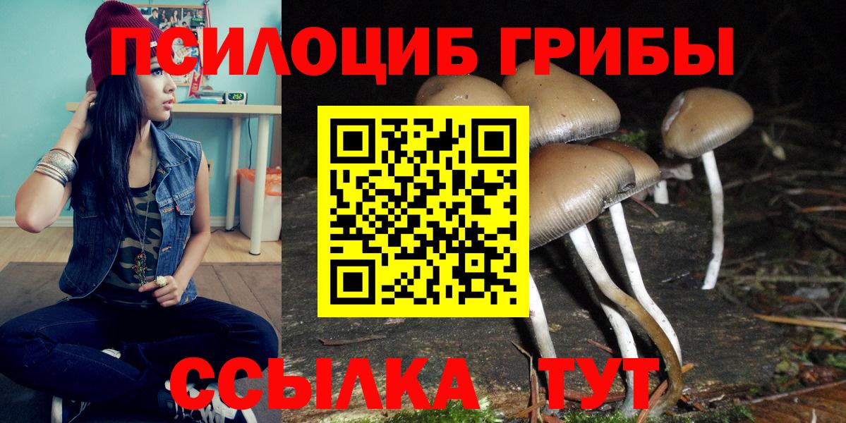 Псилоцибиновые грибы GOLDEN TEACHER  Вход с VPN  Калининград 